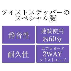 ツイストエアロステッパーSP-200 5年間商品保証の詳細画像3