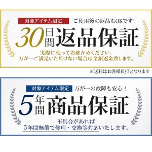 ステッパー ツイストステッパー Premium...の詳細画像1