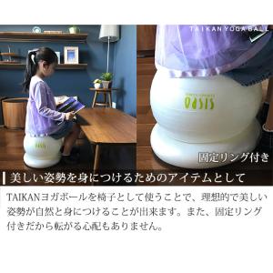 固定リング付き TAIKAN YOGA BAL...の詳細画像2