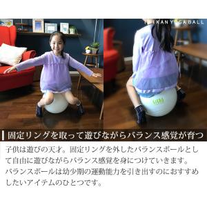 固定リング付き TAIKAN YOGA BAL...の詳細画像3