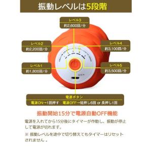 ビタミンボール 振動型 スタイリーボール マッ...の詳細画像2