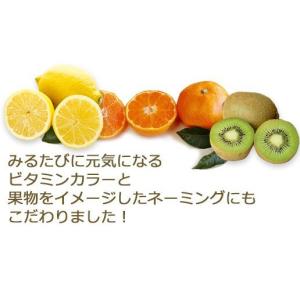 ビタミンボール 振動型 スタイリーボール マッ...の詳細画像4