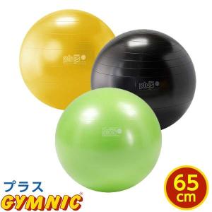 バランスボール 直径 65cm ギムニクPLUS プラス