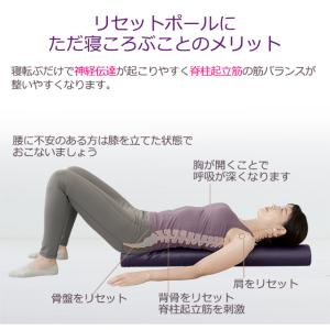 ストレッチ 用 リセットポールスリム スポーツ...の詳細画像2