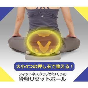 フィットネスクラブがつくった 骨盤リセットボールの詳細画像1