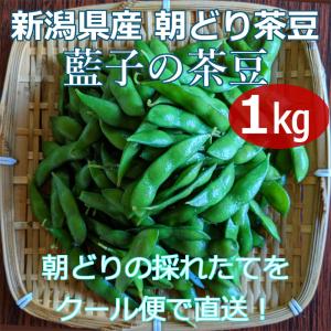 枝豆 新潟県産 茶豆 朝採り 1kg 藍子の茶豆 生 朝どり クール便 送料無料 十日町市 藍ちゃんファーム