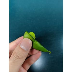 枝豆 新潟県産 茶豆 朝採り 1kg 藍子の茶...の詳細画像4