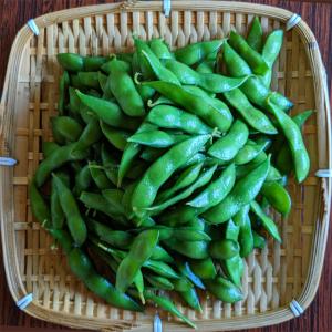 枝豆 新潟県産 茶豆 朝採り 1kg 藍子の茶...の詳細画像5