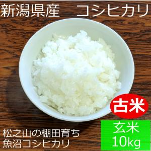 古米 10kgの商品一覧 通販 Yahoo ショッピング