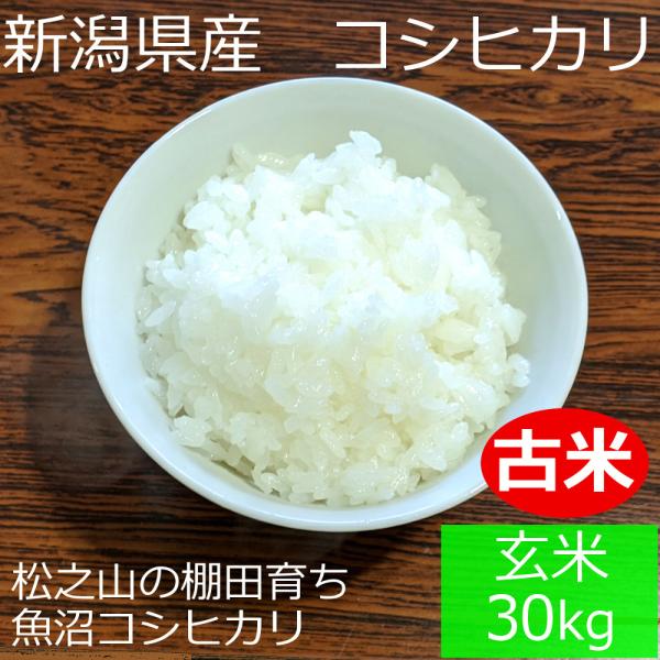 【古米】 新潟県 十日町市産 魚沼コシヒカリ 新宅棚田米 令和4年産 玄米 30kg