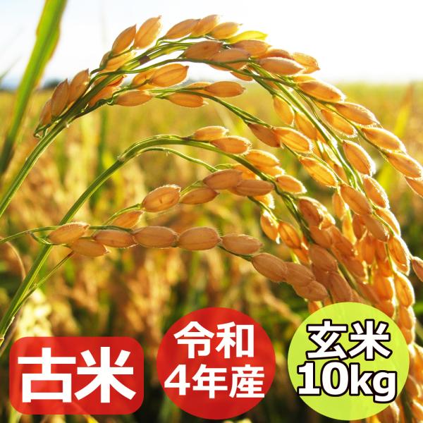 【古米】 新潟県 十日町市産 魚沼コシヒカリ 希少米 原種コシヒカリ こだわりの棚田米 天空棚田米 ...