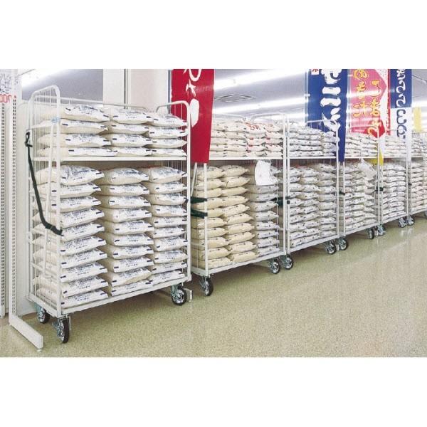 DSカート（W85×D60×H170)棚1段付　中日販売　業務用　台車　バックヤード　物流