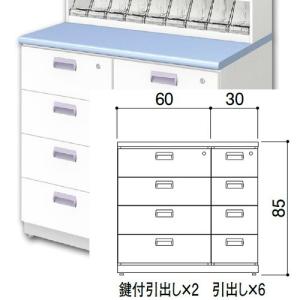 DP錠剤台(W90×H95)10段 上部ユニット 中日販売 業務用 調剤 薬局棚