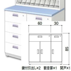 DP錠剤台(W90×H95)10段 上部ユニット 中日販売 業務用 調剤 薬局棚