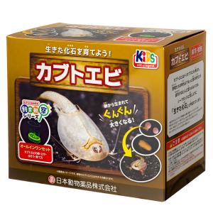 ニチドウ 飼育観察セット カブトエビ｜110110-3号店