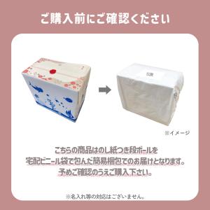 【出産祝い☆ギフトにおすすめ】熨斗紙つきおしり...の詳細画像3