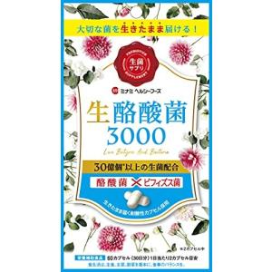 ミナミヘルシーフーズ 生酪酸菌3000 60カプセルの商品画像