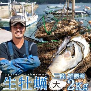 カキ 牡蠣 生牡蠣 殻付き 2kg 大 生食用 特大 生ガキ 宮城県産 三陸漁師 格安 大粒 お取り寄せ バーベキュー［ 父の日 ギフト 2024］