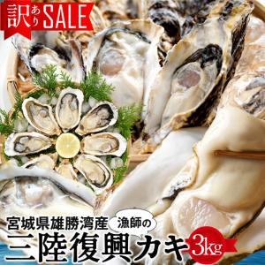 牡蠣 訳あり [SALE] カキ 3kg 浜のまかない規格外品 復...