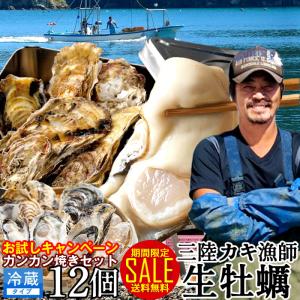 カキ SALE 牡蠣 生牡蠣カンカン焼きセット 殻付き生ガキ（中）12個 宮城県産 三陸漁師 バーベキュー ガンガン焼き［ 父の日 ギフト 2024］｜1123