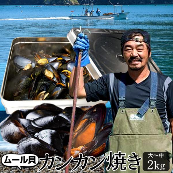 三陸ムール貝のカンカン焼き2kg［大中］【満天青空レストラン】活ムール貝 宮城県石巻産 雄勝湾 朝ど...