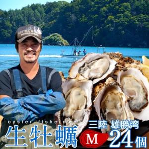 カキ 牡蠣 生牡蠣 殻付き M 24個 生食用 生ガキ 宮城県産 三陸漁師 格安 産地直送 お取り寄せ バーベキュー［ 母の日 ギフト 2024］｜1123