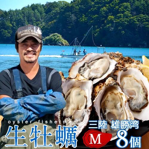 カキ 牡蠣 生牡蠣 殻付き M 8個 生食用 生ガキ 宮城県産 三陸漁師 格安 産地直送 お取り寄せ...