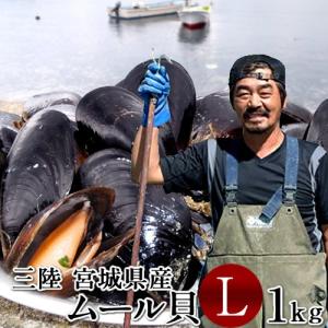 生ムール貝 大 1kg 三陸宮城県産 漁師直送 活ムール貝（イガイ ムラサキ貝 カラス貝）