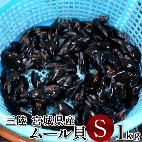 生ムール貝 小 1kg 三陸宮城県産 漁師直送 活ムール貝（イガイ ムラサキ貝 カラス貝）