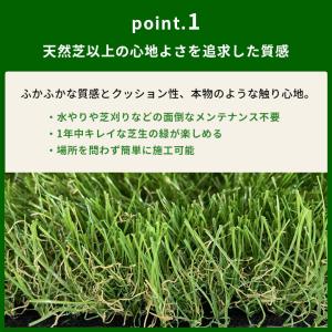 人工芝 幅2m ロール 2m×5m 芝丈35m...の詳細画像3