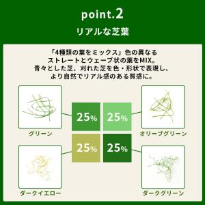 人工芝 幅2m ロール 2m×5m 芝丈35m...の詳細画像4
