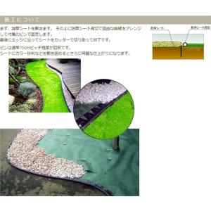 見切材 高さ35mm×2m×3枚セット ブラッ...の詳細画像5