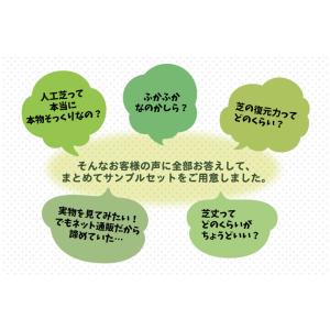 人工芝 カット サンプル セット 10cm×1...の詳細画像1