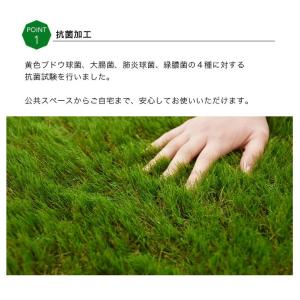 人工芝 DIY ロール 幅1m×10m 芝丈 ...の詳細画像3