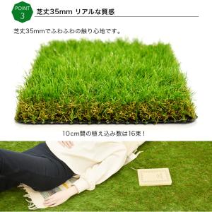 人工芝 DIY ロール 幅1m×10m 芝丈 ...の詳細画像5