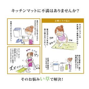 キッチンマット い草 80×270cm Fドロ...の詳細画像2