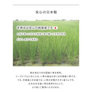 キッチンマット い草 Fお花畑 60×270c...の詳細画像5