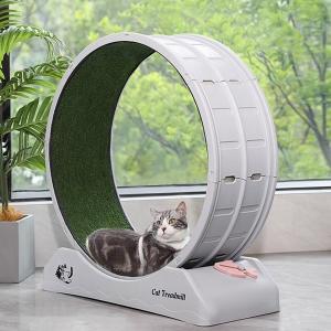 キャットホイール ねこ おもちゃ ペット用回転ホイール (DC-WHEEL-ABS) 滑車 猫用運動器具 静音  ※北海道+1050円｜1128