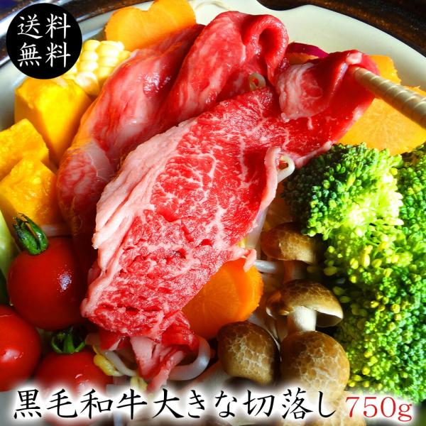 黒毛和牛 大きな切り落とし750g