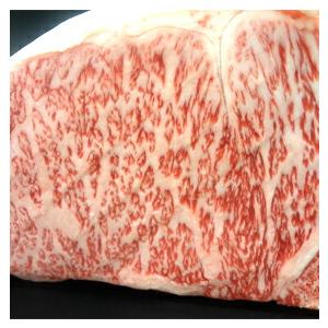 ステーキ肉 黒毛和牛 送料無料 A5等級黒毛和牛サーロインカットステーキ1.0kg