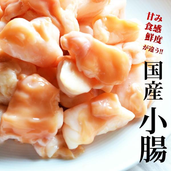 国産小腸　メガ盛り1kg（200g×５) 送料無料