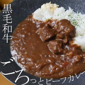 セゾンブシェ カレー レトルトカレー 黒毛和牛ゴロっとビーフカレー
