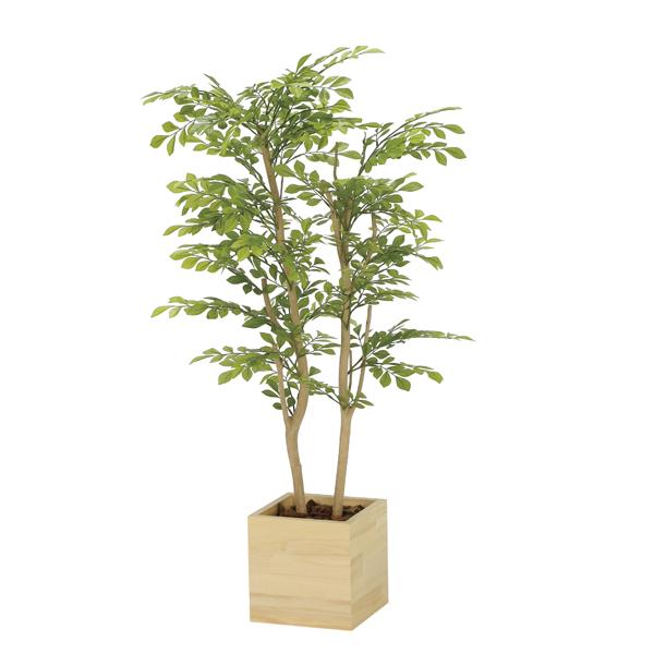 アートグリーン フェイクグリーン 人工観葉植物 光触媒 光の楽園 ウッドボックスライトトネリコ１．０...