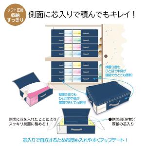 爆買 乾っとデオケースライト 収納ケース 大2...の詳細画像5