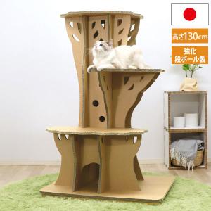 ペティオ necoco キャットリビングタワー クリアボウル＆ハウスタイプ 猫用タワー necoco ネココ キャットリビングタワー クリアボウル