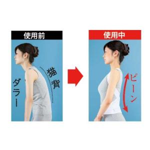 男女兼用 乗馬背筋ベルト 背筋矯正 猫背改善 ...の詳細画像1