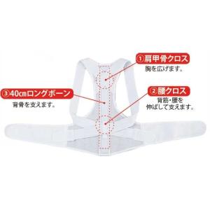 男女兼用 乗馬背筋ベルト 背筋矯正 猫背改善 ...の詳細画像2