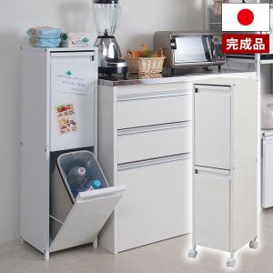 スチール製ダストボックス 分別ゴミ箱 15リットル 2分別 幅26cm ペール付き キャスター付き NJ-0403｜1147kodawaru