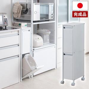 日本製 ダストボックス スチール製 分別ゴミ箱 9リットル 2分別 幅20cm