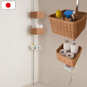 アンナ・エミリア 洗える羽毛肌掛けふとん2枚セット 0423049 送料無料